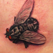 Tattoos - Fly Tattoo - 68809